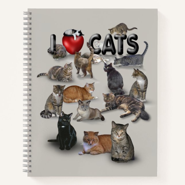 Carnet J'adore les chats 😻 (Devant)