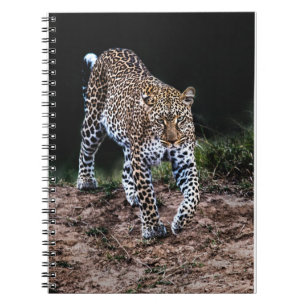 Carnet Jaguar
