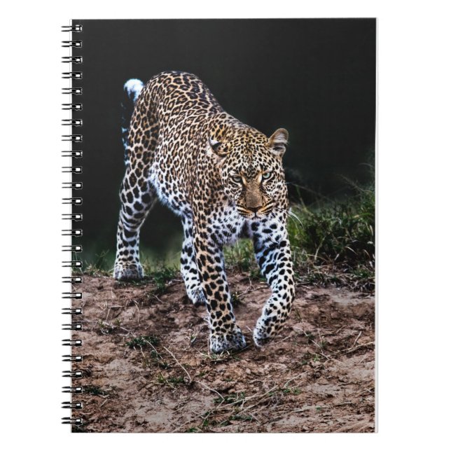 Carnet Jaguar (Devant)