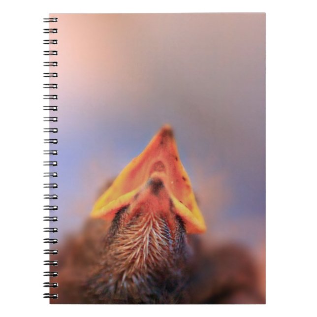 Carnet J'ai faim ! (Oiseau de bébé) (Devant)