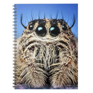 Carnet J'ai les yeux sur toi !