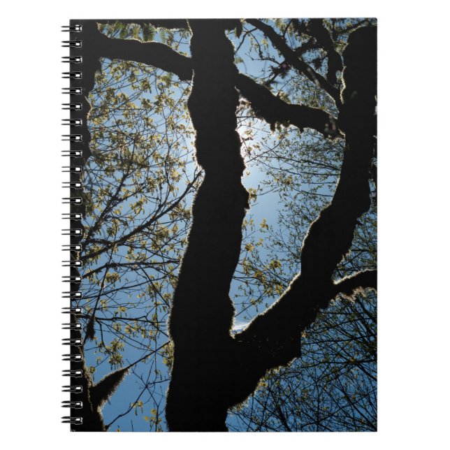 CARNET JAMAIS (Devant)