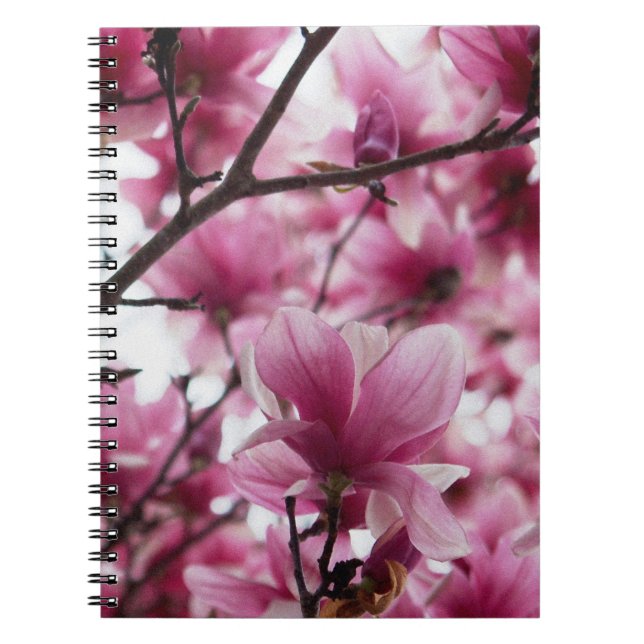 Carnet japonais de Magnolia (Devant)