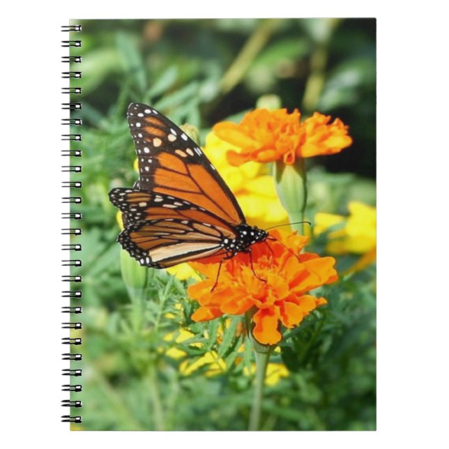 Carnet Jardin aux papillons et aux fleurs de Marigold (Devant)