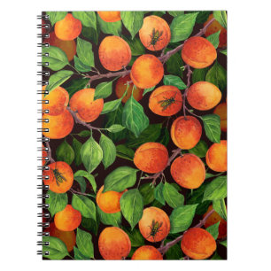 Carnet Jardin d'abricot 1