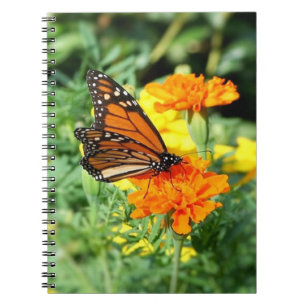 Carnet Jardin de papillons et de fleurs de souci