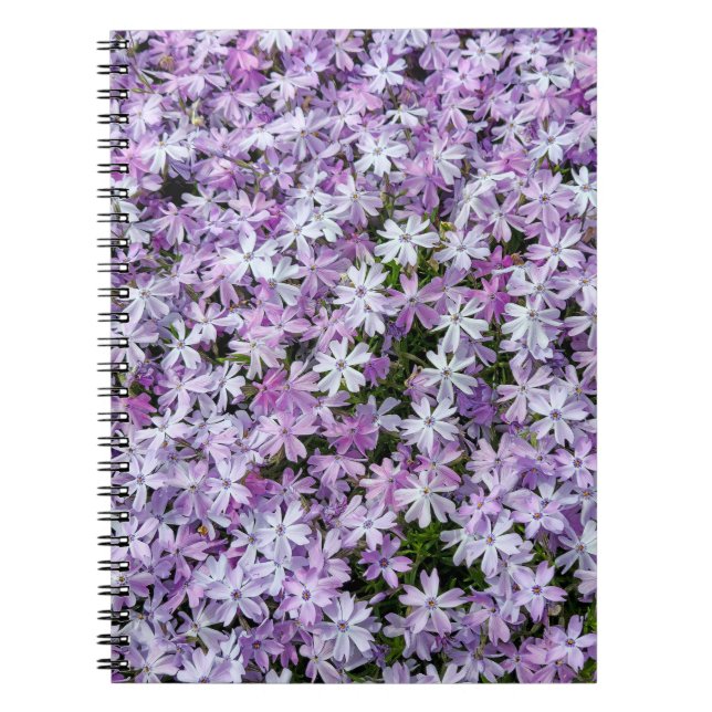 Carnet Jardin de Phlox Violet (Devant)