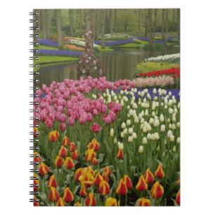 Carnet Jardin de tulipes et de jacinthes, Jardins de Keuk