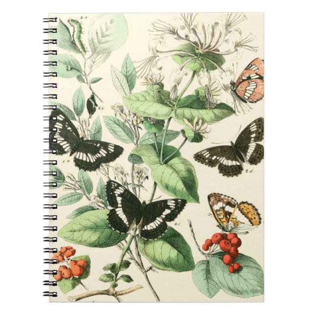 Carnet Jardin des papillons et des fleurs (Devant)