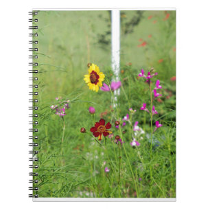 Carnet Jardin fleur sauvage