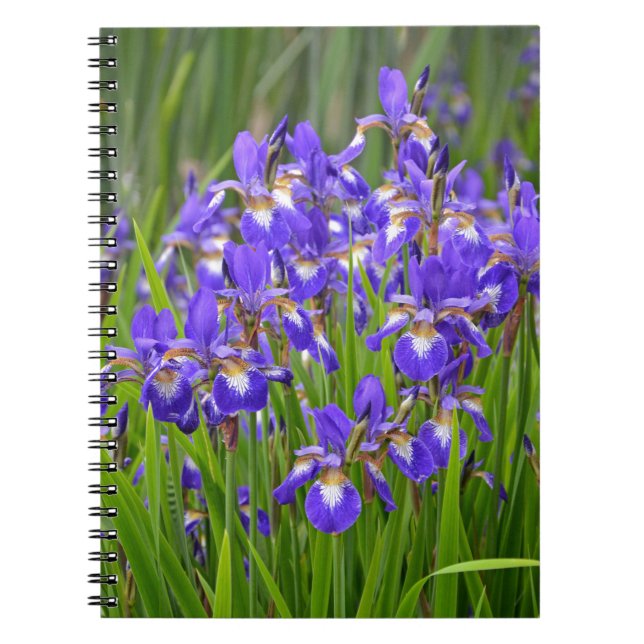 Carnet Jardin fleuri d'iris pourpre (Devant)