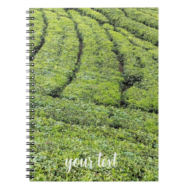 Carnet Jardins de thé de Munnar sur  (Devant)