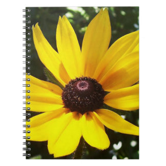 Carnet Jaune