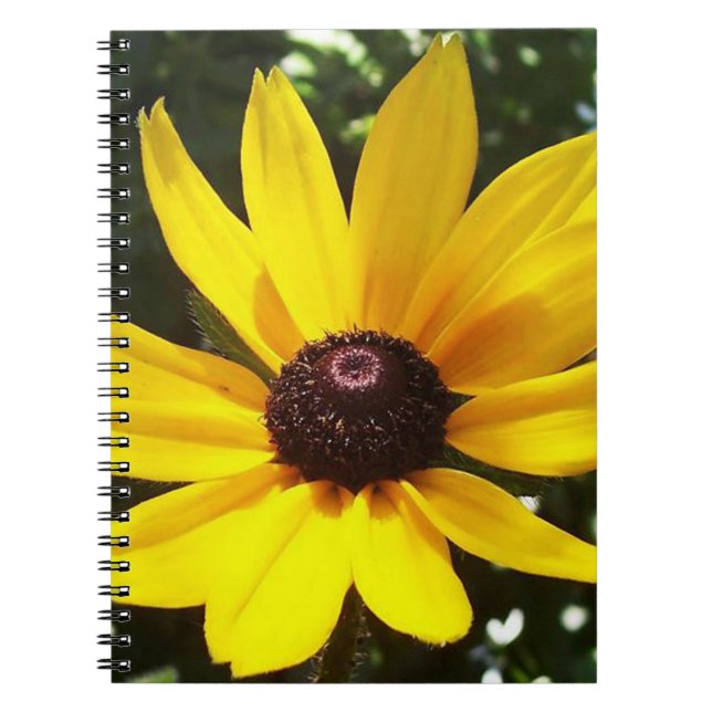 Carnet Jaune (Devant)