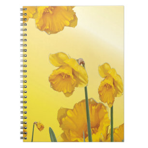 Carnet Jaune Narcissus Daffodique Retro Vintage