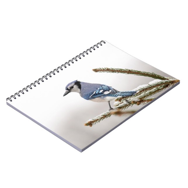 Carnet Jay bleu en hiver (Côté gauche)