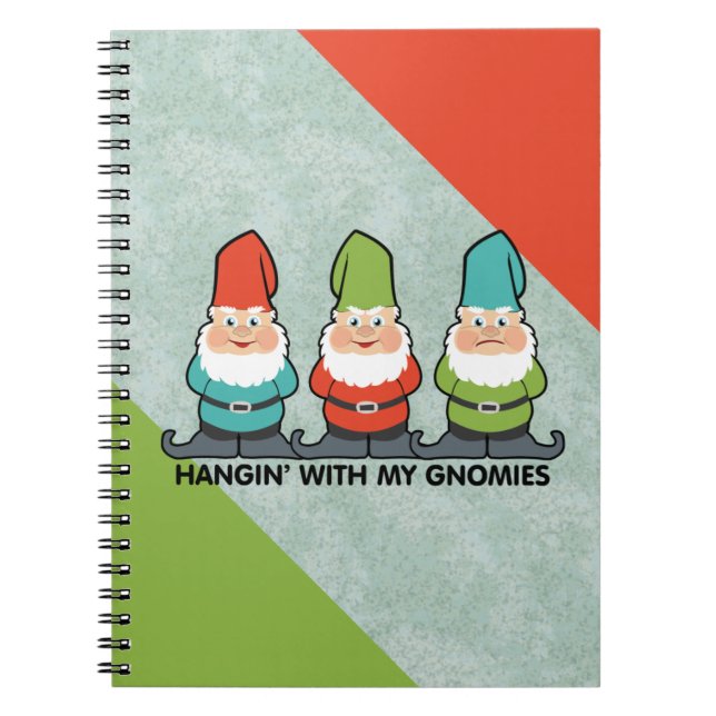 Carnet Je M'Accroche Avec Mes Gnomies Homies (Devant)