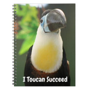 Carnet Je peux réussir