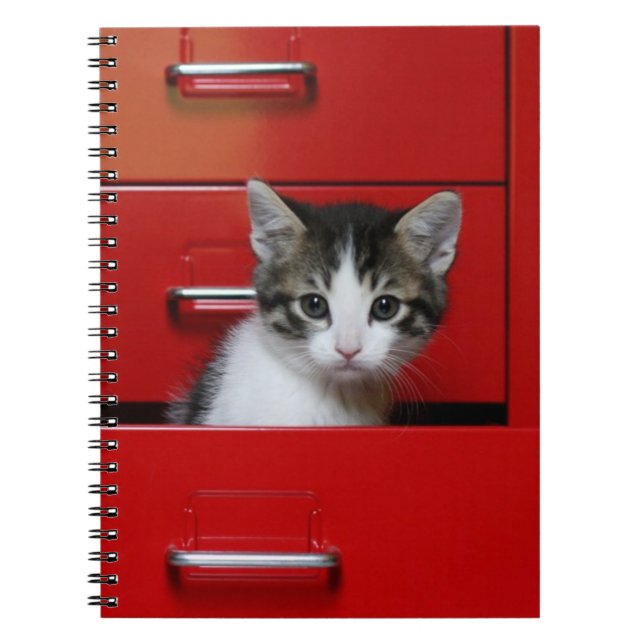 Carnet Jeter un coup d'oeil de chaton (Devant)