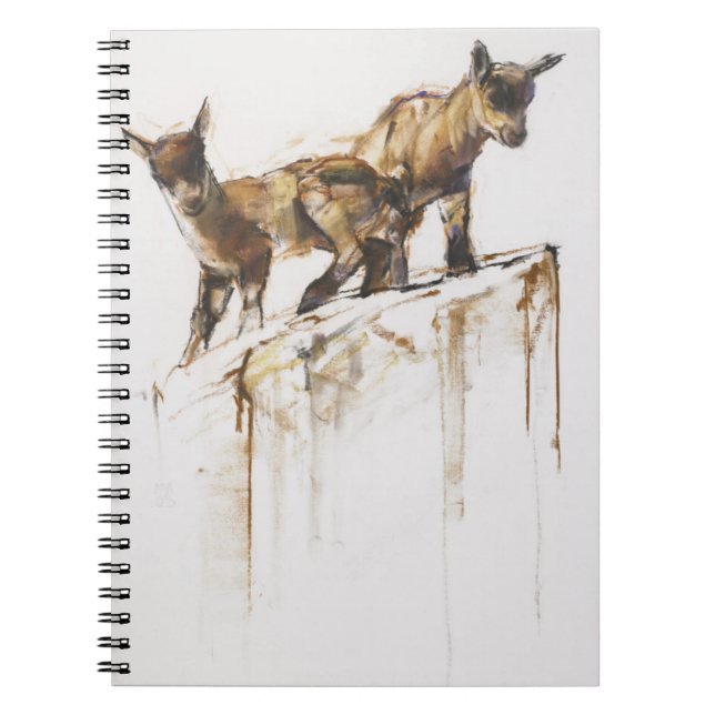 Carnet Jeu 2005 de roche (Devant)