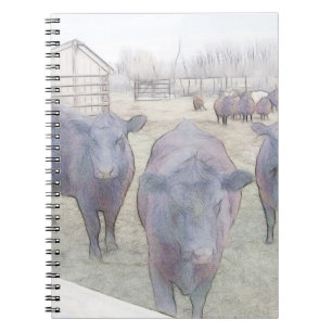 Carnet Jeune Angus noir curieux