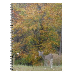 Carnet Jeune bambin cerf aux arbres à automne.