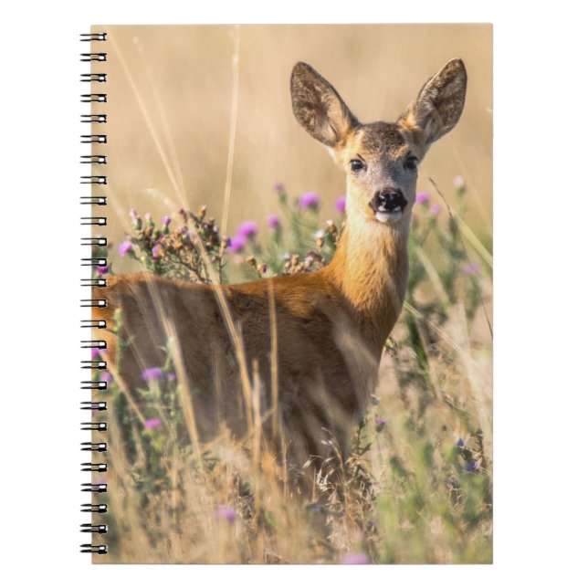 Carnet Jeune chevreuil dans une prairie (Devant)