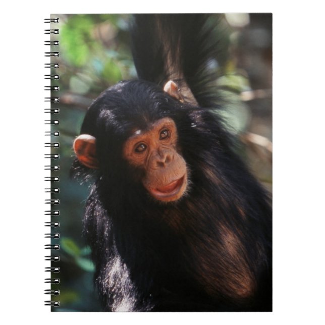 Carnet Jeune Chimpanzé (Devant)