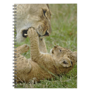 Carnet Jeune lion jouant