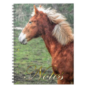 Carnet Jeune Palomino Colt Horse-amoureux du design