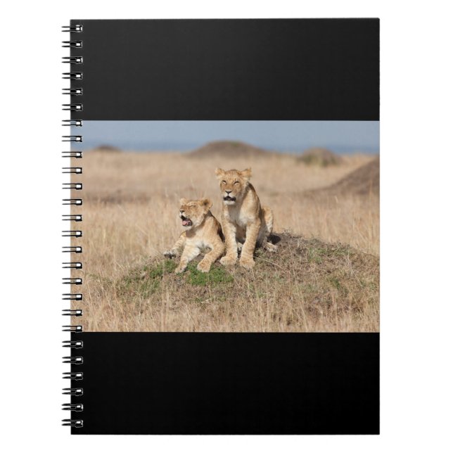 Carnet Jeunes lions (Devant)