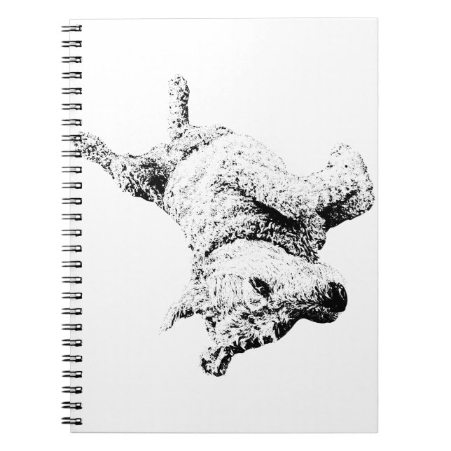 Carnet Joie dans chaque ligne (Devant)