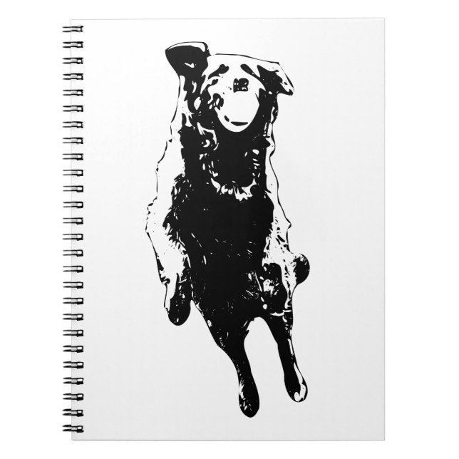 Carnet Joie en plein saut (Devant)
