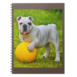 Carnet Joli cadeau de Bulldog Basketball Bulldog Lover an