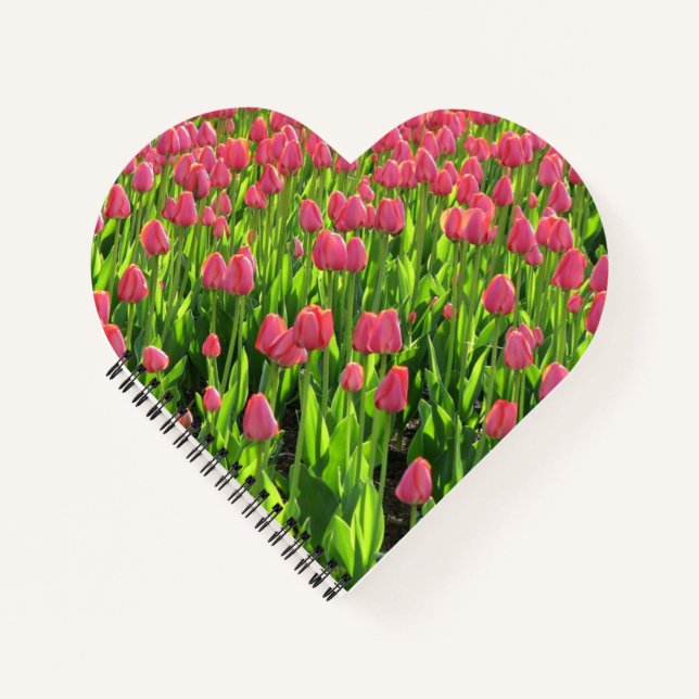 Carnet Joli champ de tulipes roses (Devant)