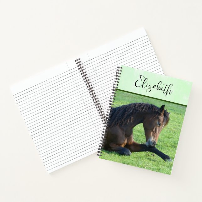 Carnet Joli Cheval Brown allongé dans l'herbe (Intérieur)