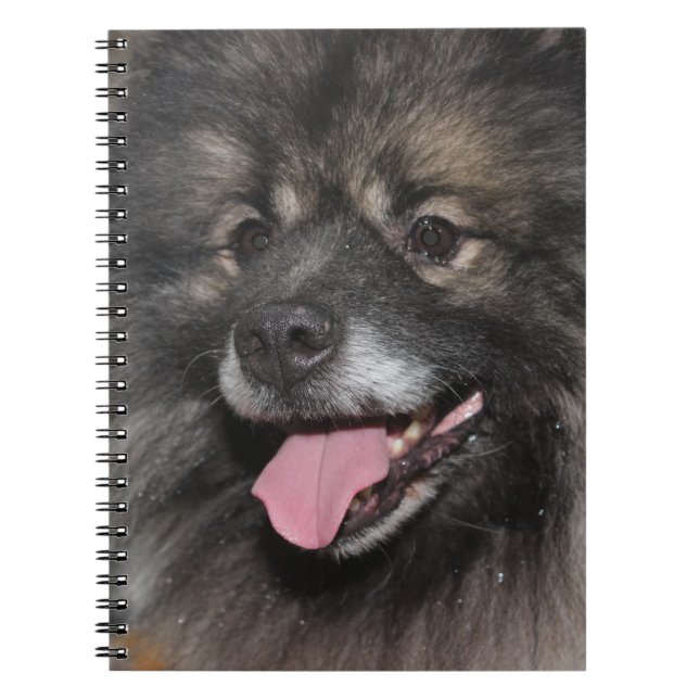 CARNET JOLI CHIEN KEESHOND GRIS FLUFFY (Devant)