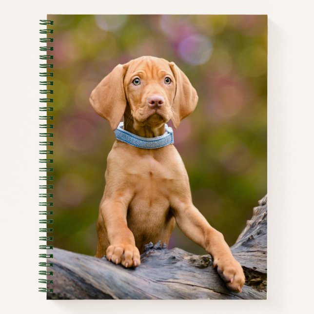 Carnet Joli chiot hongrois Vizsla Chien Chien Puppy Photo (Devant)