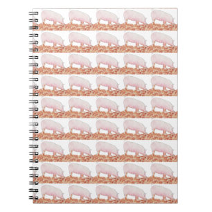 Carnet Joli Cochon Rose dans la Boue Dessin Animé Drôle d