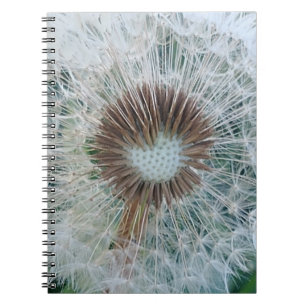 Carnet Joli Dandelion blanc