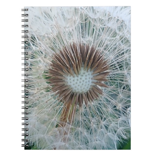 Carnet Joli Dandelion blanc (Devant)