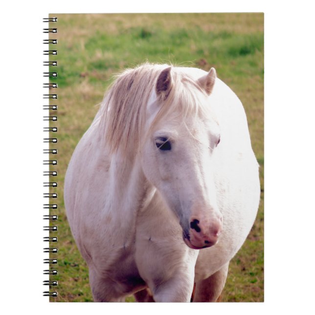 Carnet Joli Gris Pony (Devant)
