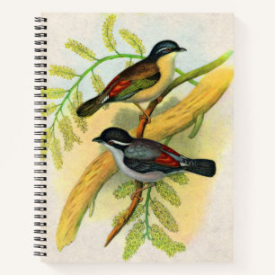 Carnet joli imprimé d'oiseaux