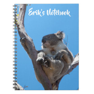 Carnet Joli koala dormant dans un arbre Australie