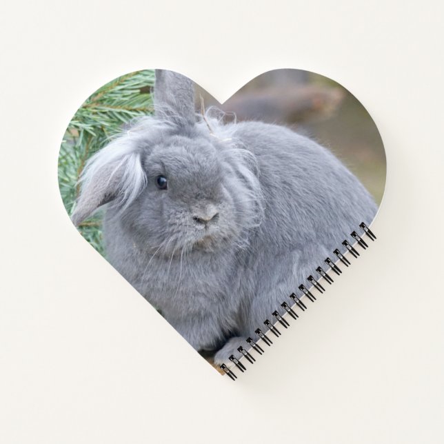 Carnet Joli lapin gris (Dos)