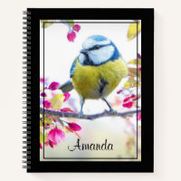 Joli oiseau bleu et jaune sur une branche Photogra