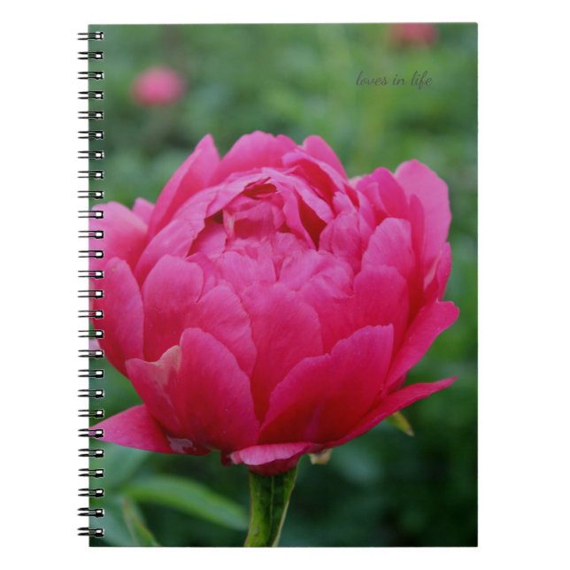 Carnet Joli Peony Jardin Rose (Devant)