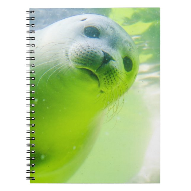 Carnet Joli Phoque Amical Sous L'Eau (Devant)