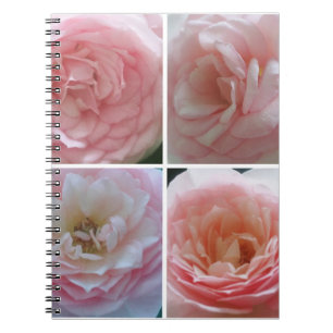 Carnet Joli Rose