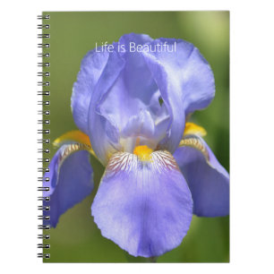 Carnet Jolie fleur d'iris pourpre (ma photographie)